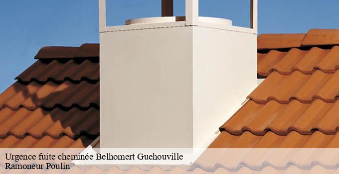 Urgence fuite cheminée  belhomert-guehouville-28240 Ramoneur Poulin