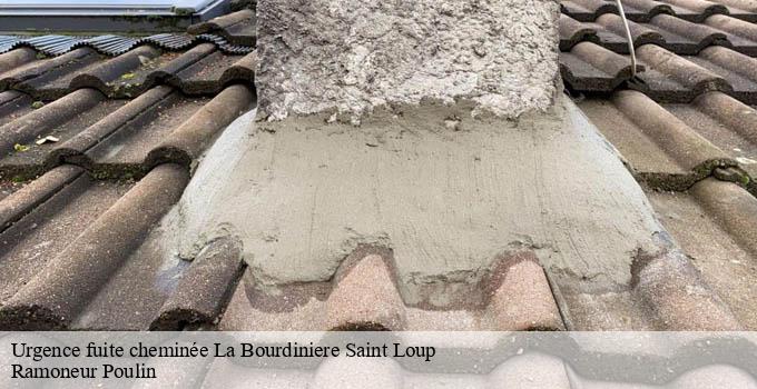Urgence fuite cheminée  la-bourdiniere-saint-loup-28360 Ramoneur Poulin