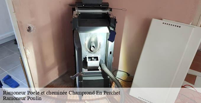 Ramoneur Poele et cheminée  champrond-en-perchet-28400 Ramoneur Poulin